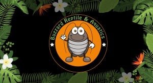 Buzzard Reptile & Aquatics - Reptile Safe Plants - Live Food - Reptile ...