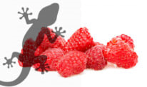 Reptile Supplies Gecko Diet - Raspberry Ripple 60g