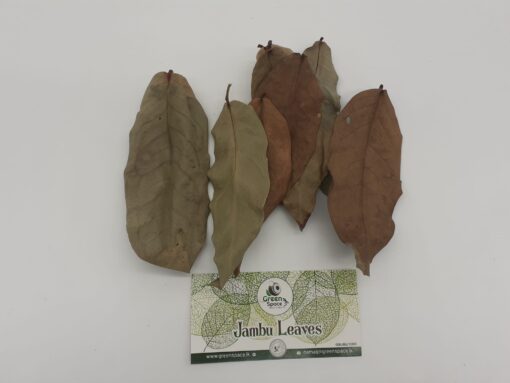 Jambu Leaves
