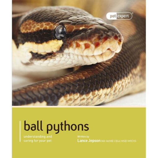 Pet Expert: Ball Pythons